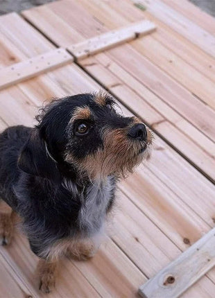 Veliki dječiji pješčanik sa klupama i preklopnim poklopcem, drveni